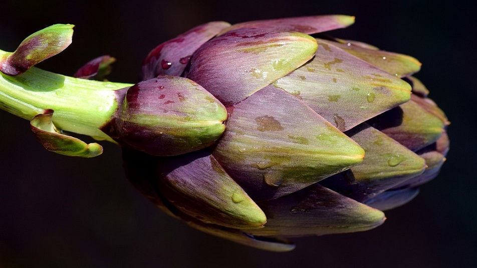Reginette con crema di carciofi: un primo semplice e gustoso