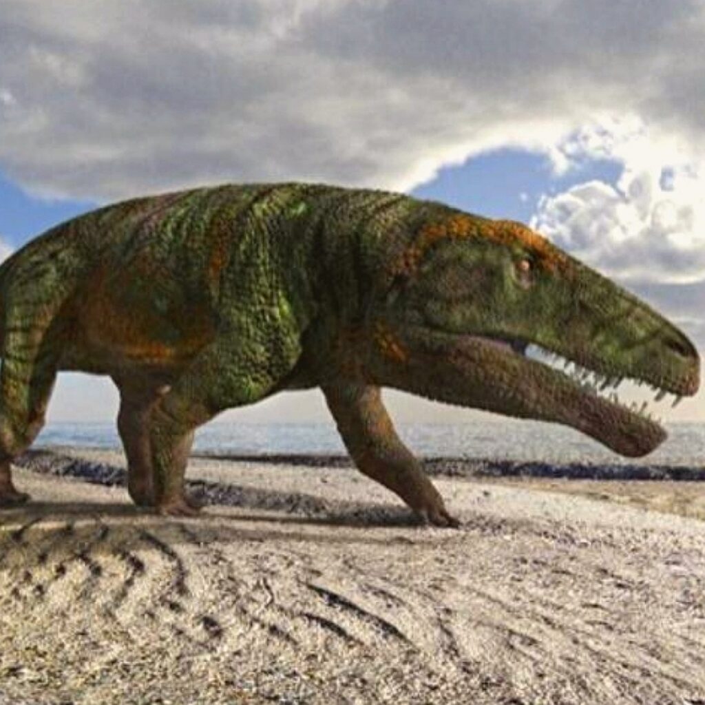 Scoperto un nuovo dinosauro, le tracce in Val Maira Scoperto un nuovo dinosauro, le tracce in Val Maira