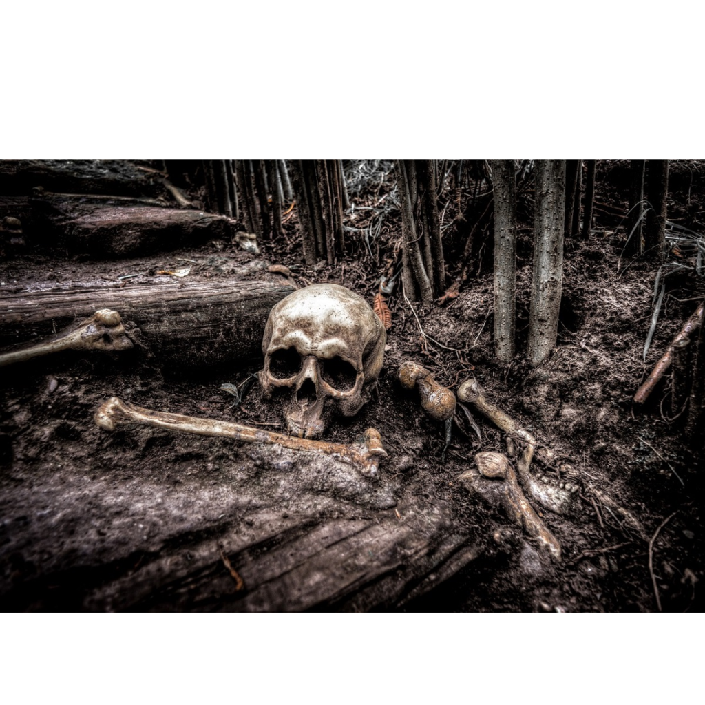 Morte nel Medioevo: frate schiacciato dal carro e altri decessi comuni, le ultime ricerche Morte nel Medioevo: frate schiacciato dal carro e altri decessi comuni, le ultime ricerche