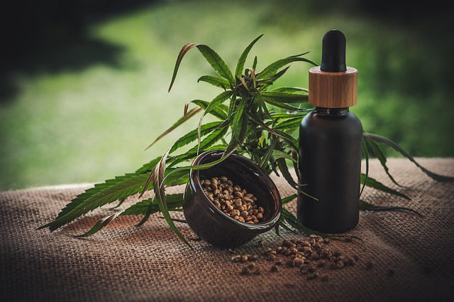 Cannabis ed epilessia: 3 cannabinoidi riducono convulsioni