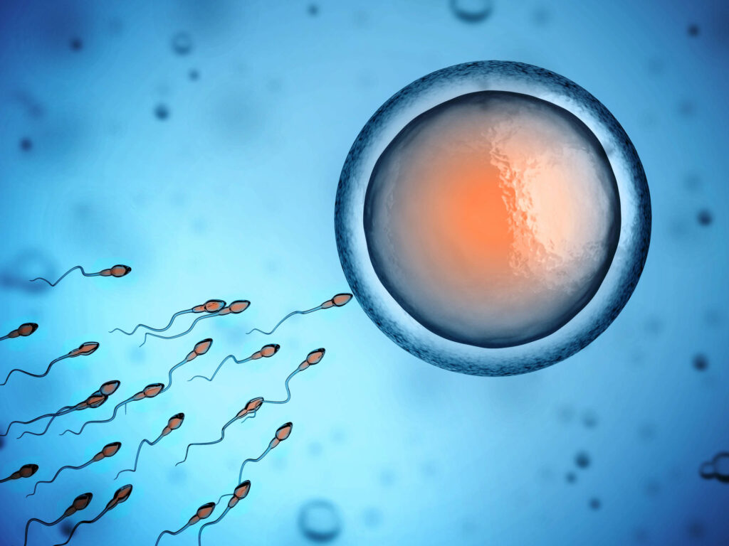 Anticoncezionale maschile: i progressi nella ricerca sulla contraccezione Anticoncezionale maschile: i progressi nella ricerca sulla contraccezione